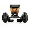 Electric Skateboards for Adults 3500W Electric Longboard Offroad Dual Belt Motors Mountain Board with Remote Up to 32MPH with 8 Inch Fat Tires and Max